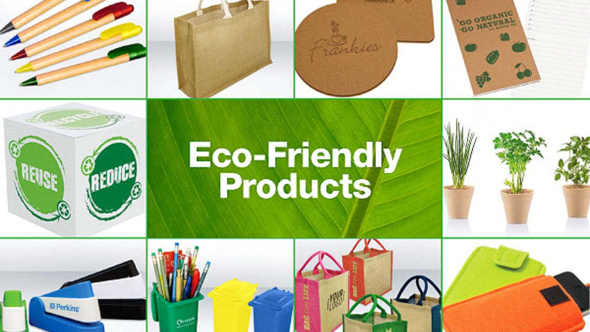 How to Start Eco-Friendly Products Blog in 2024?